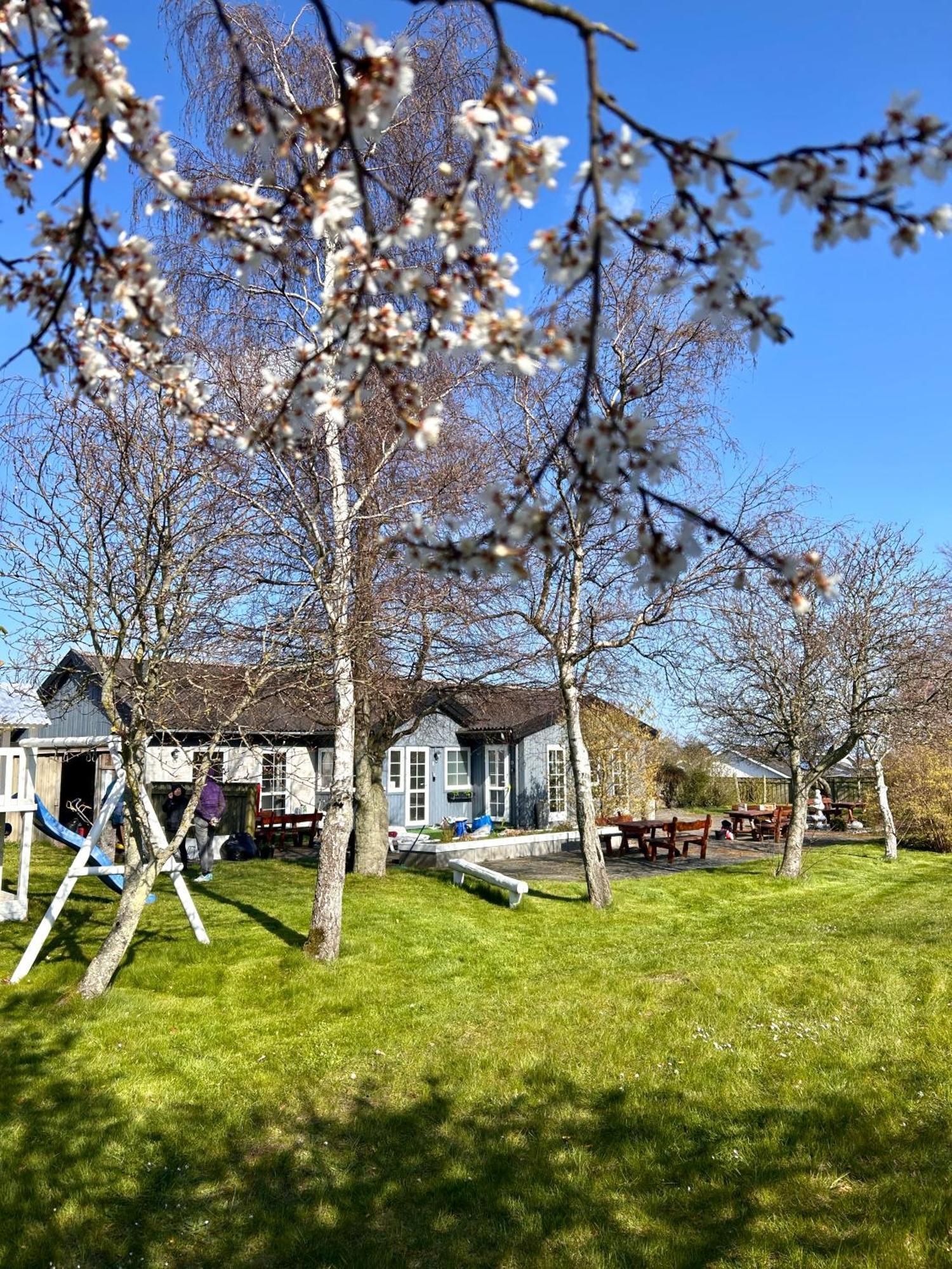 Apartamenty Neksø Eksteriør billede